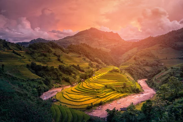 Reisfelder Auf Terrassen Mit Holzpavillon Bei Sonnenuntergang Cang Chai Yenbai — Stockfoto