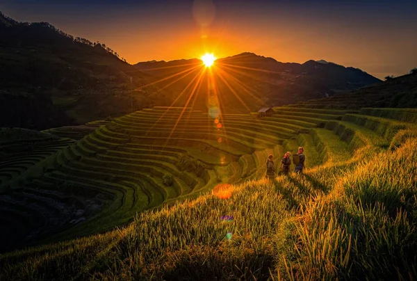 Vietnamesische Kinder Auf Dem Nachhauseweg Auf Einem Reisfeld Bei Sonnenuntergang — Stockfoto