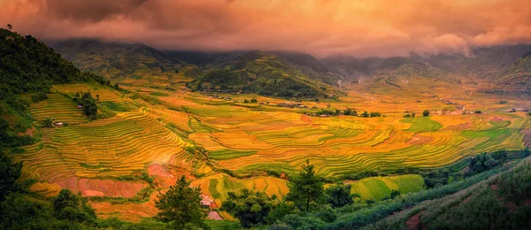 Reisfelder Auf Terrassen Mit Holzpavillon Bei Sonnenuntergang Yenbai Vietnam — Stockfoto