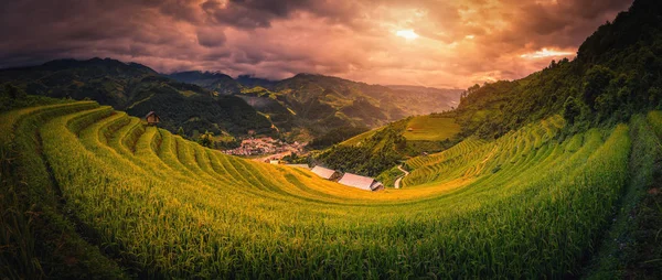 Reisfelder Auf Terrassen Mit Holzpavillon Morgen Cang Chai Yenbai Vietnam — Stockfoto