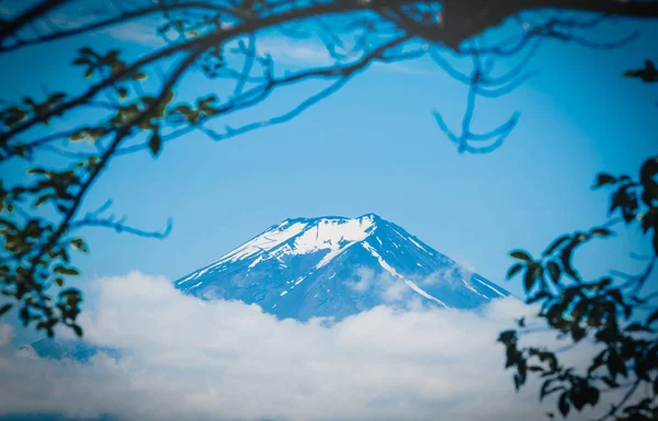 Szczyt Fuji Między Chmury Zielonych Liści Wiosnę Dziennych Fujiyoshida Japonia — Zdjęcie stockowe