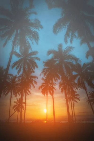 Silhouette Coconut Palm Trees Beach Sunset Vintage Tone — Stock Photo, Image