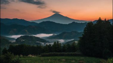 Mt. Shizuoka, Japonya 'da gün doğumunda yeşil çay tarlasıyla Fuji.