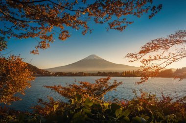Mt. Fuji Gölü Kawaguchiko Fujikawaguchiko, Japonya'da gün batımında sonbahar yaprakları ile üzerinde.