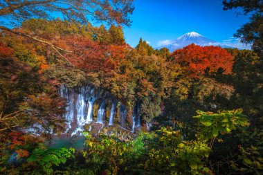 Shiraito Şelalesi ve Dağı. Fuji ve renkli sonbahar yaprakları Fujinomiya, Shizuoka, Japonya 'da.