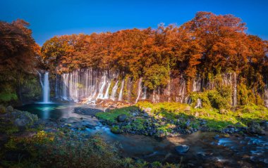 Fujinomiya, SHIZUOKA, Japonya renkli sonbahar yaprak ile Shiraito Falls.
