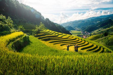 Kadın çiftçi ve pirinç tarlaları de Mu Cang Chai, Yenbai, Vietnam gün batımında teraslı kolunda yükselterek kızı.