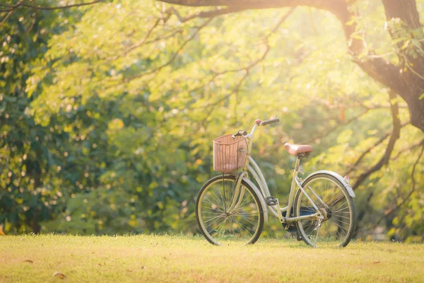 Vélo Sur Herbe Verte Dans Parc Coucher Soleil — Photo