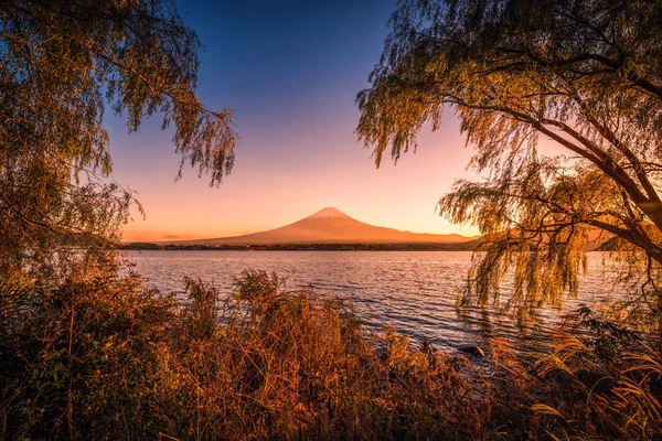 Mt. Fuji over Lake Kawaguchiko with autumn foliage at sunset in Fujikawaguchiko, Japan. — Stock Photo, Image