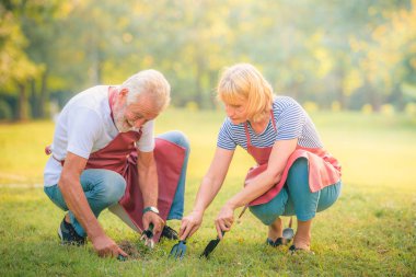Yaşlı çift gün batımında bahçede eğleniyor. Yaşlı aşıklar konsepti.
