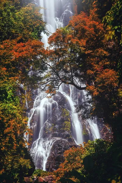 Водоспад Сунанта Осіннім Деревом Провінції Накхон Таммарат Таїланд — стокове фото