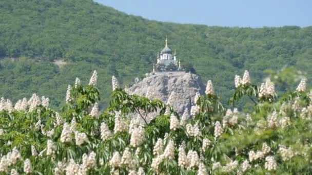 Ortodox templom, a joroz áll egy hegyen, virágzó gesztenye hátterében — Stock videók