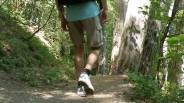 Genç Turizm adam bir dağ yolu ormana kadar sırtında sırt çantası ile gelir