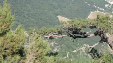 Yalta yakınındaki Kırım Dağları'nın muhteşem manzara