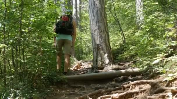 Joven turista viene con mochila en su espalda por un sendero de montaña a través del bosque — Vídeos de Stock