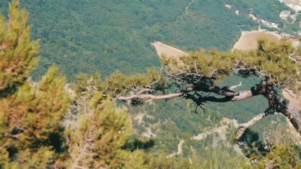ヤルタの近くのクリミア山脈の壮大な風景 — ストック動画