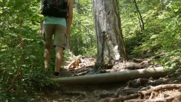 Junger Tourist kommt mit Rucksack auf dem Rücken auf Bergpfad durch den Wald — Stockvideo