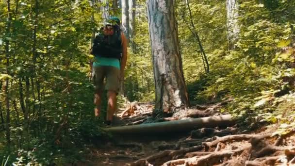 Junger Tourist kommt mit Rucksack auf dem Rücken auf Bergpfad durch den Wald — Stockvideo