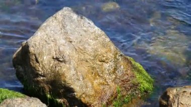 Büyük deniz taş yeşil algler ile büyümüş bir deniz temiz su yalan