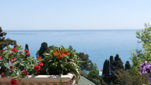 Hermosas flores rojas de petunias sobre el fondo del mar en el horizonte. Flores en macizos de flores decorativas en la orilla del mar — Vídeo de stock