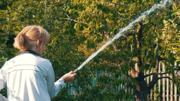 Mujer regando de una manguera una planta en su propio jardín — Vídeo de stock