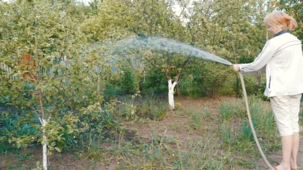 Женщина поливает из шланга растение в своем саду — стоковое видео