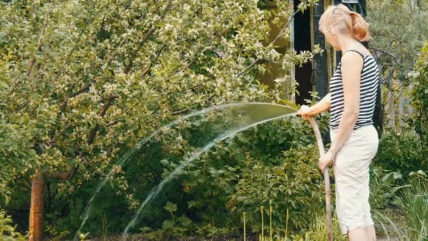 Mujer está regando plantas en su jardín de una manguera — Vídeos de Stock