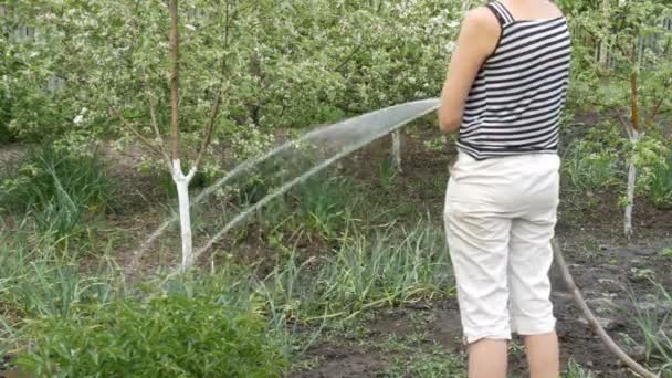 Mujer está regando plantas en su jardín de una manguera — Vídeos de Stock