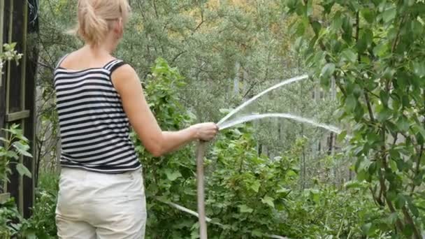 Жінка поливає рослини в саду зі шланга — стокове відео