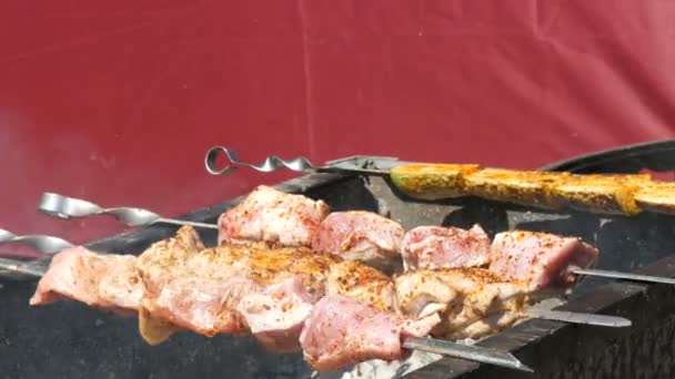 Deliciosa carne suculenta de kebab shish em espetos fritos em fumaça — Vídeo de Stock