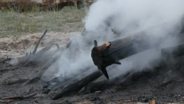 Smoldando fogo fumante que extingue um bombeiro com água. Fogo na floresta — Vídeo de Stock