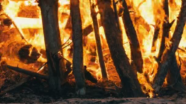 Riesige lodernde Flammen aus nächster Nähe — Stockvideo