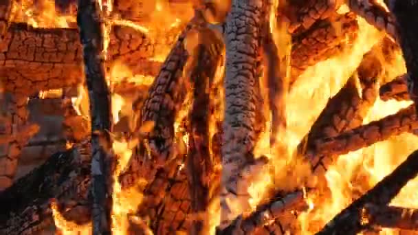 Enorma brinnande lågor på nära håll — Stockvideo