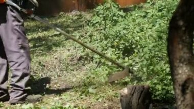 Çim biçme makinesi Çim yetişen yabani ot biçme adam