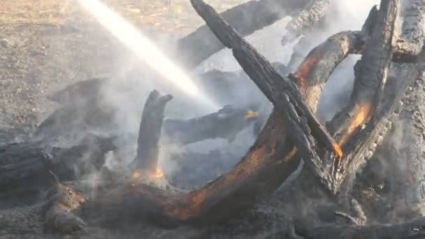 Brandweerman blust brand uit een brandslang. Op de kolen, zwarte bomen rook tegen de achtergrond van de voeten van mensen gebrand — Stockvideo