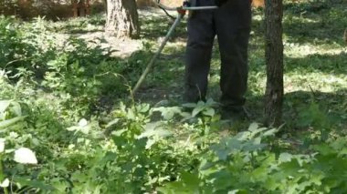 Çim kesme Park taşınabilir çim biçme makinesi ile