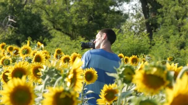 Un homme photographe avec une caméra tourne une vidéo dans un beau champ de tournesols — Video