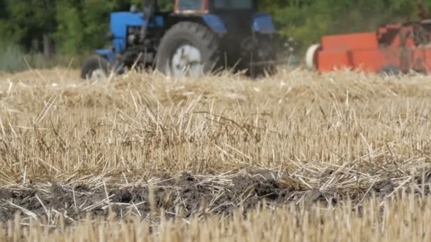 Slanting blé en arrière-plan monte le tracteur et fauche la récolte — Video