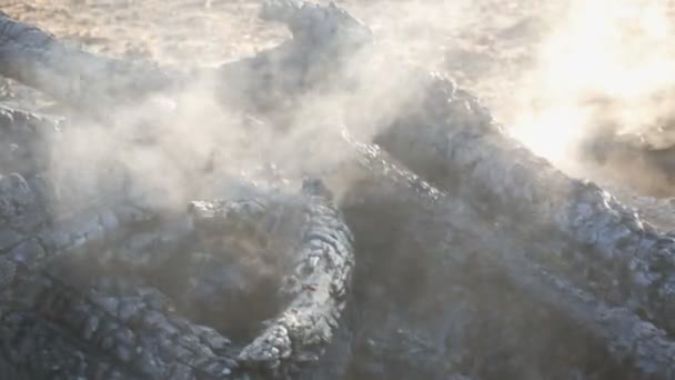 燃烧的煤, 黑树烟雾反对的背景下的人的脚 — 图库视频影像