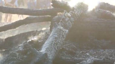 Kömürlerin, siyah ağaçlar insanlar ayak arka planı duman için Yakılan