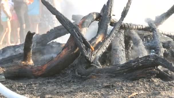 Un pompier éteint un incendie d'un tuyau d'incendie. Brûlés aux charbons, les arbres noirs fument sur le fond des pieds des gens — Video