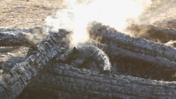 Καίγονται για τα κάρβουνα, μαύρα δέντρα καπνού φόντο τα πόδια των ανθρώπων — Αρχείο Βίντεο
