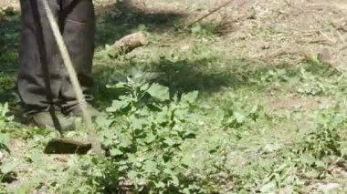 Çim kesme Park taşınabilir çim biçme makinesi ile