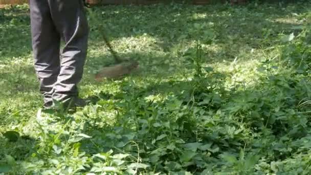 Coupe de gazon dans le parc avec tondeuse à gazon portable 