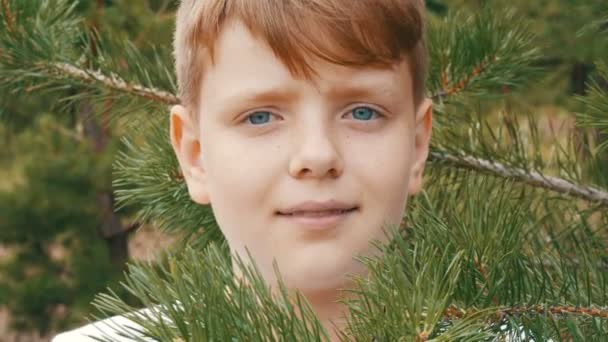 Bir köknar ağacının yanında duruyor ve kameraya benziyor bir genç çocuğun duygusal portre — Stok video