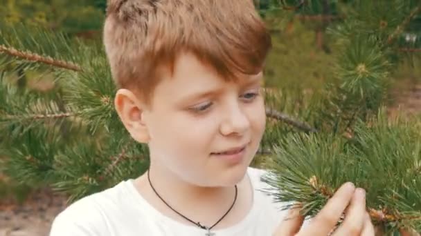 Эмоциональный портрет рыжеволосого подростка с голубыми глазами и веснушками, смотрящего на ветви ели — стоковое видео