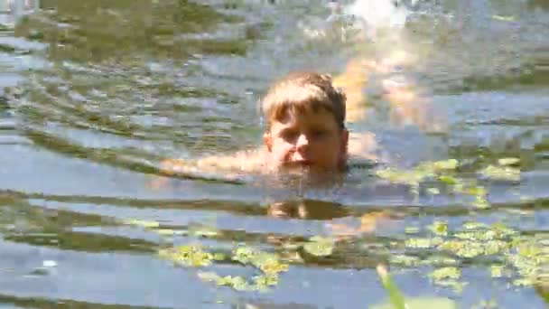 Menino adolescente está tomando banho em um rio selvagem no verão. Bing Ervas daninhas no rio em condições naturais — Vídeo de Stock