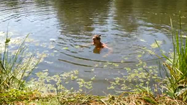 Une jeune femme est baignée dans une rivière sauvage en été. Canard sur la rivière dans des conditions naturelles naturelles — Video