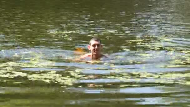 Un giovane uomo è immerso in un fiume selvaggio in estate. Duckweed sul fiume in condizioni naturali — Video Stock