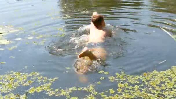 Tonåring pojke bad i en vild flod på sommaren. Andmat i naturliga naturliga förhållanden vid floden — Stockvideo